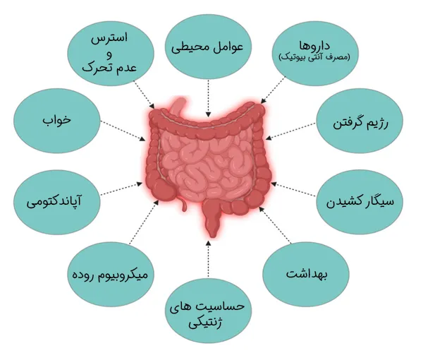  درمان سریع و قطعی التهاب روده