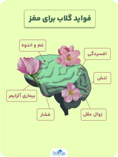  چه چیزی باعث پریودی میشود؟