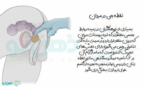  کلمات در حین رابطه + حرف های سکسی