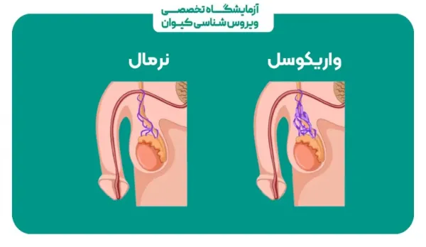  عوارض رابطه طولانی مدت