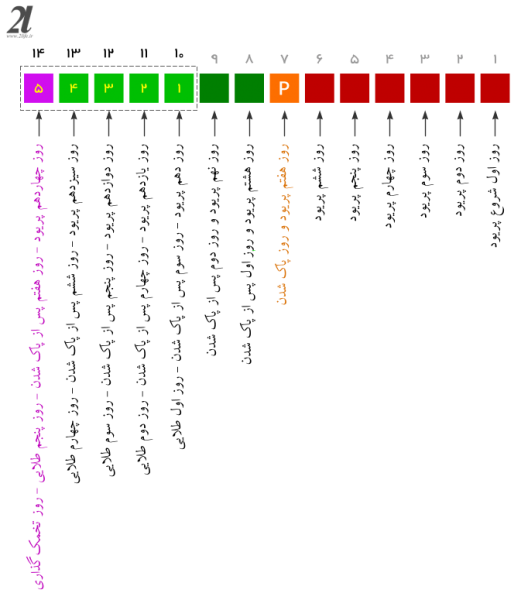  در هفته چقدر رابطه داشته باشیم؟
