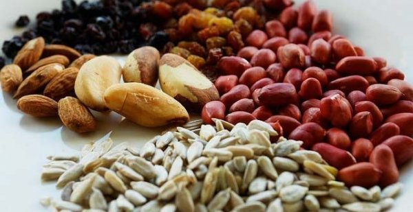  در ماه چقدر رابطه داشته باشیم؟