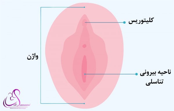  بعد از انزال چه اتفاقی در بدن می افتد؟