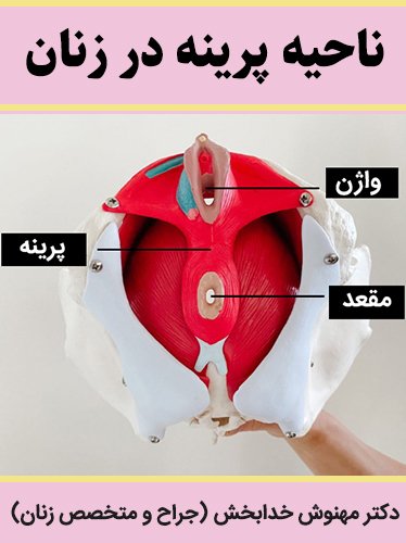  ناز زن کجاست با عکس واقعی