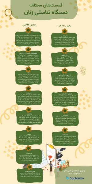 ناز زن کجاست با عکس واقعی