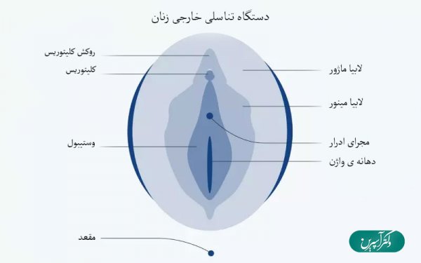  ناز زن کجاست با عکس واقعی