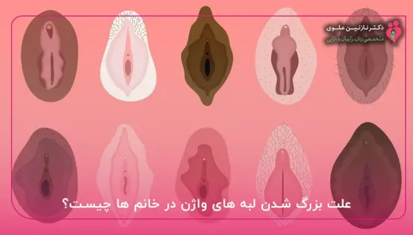  عکس اعضای بدن زن با اسم