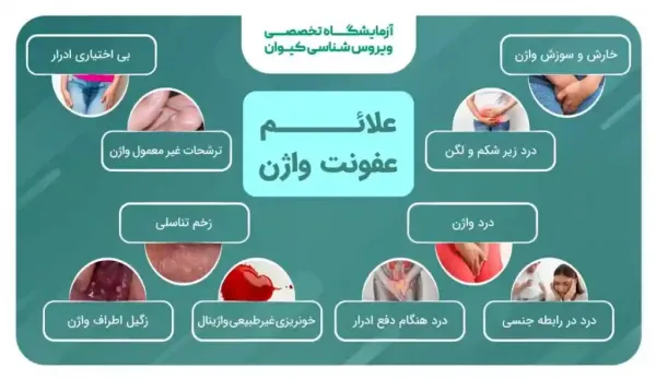  عکس دهانه واژن نرمال