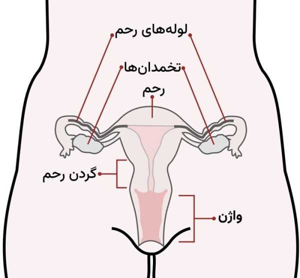  کفل زن کجاست عکس واقعی
