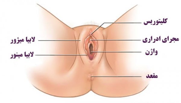  کفل زن کجاست عکس واقعی