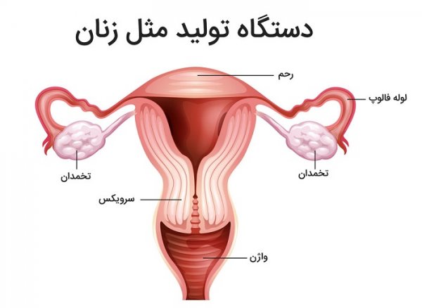  عکس بیکینی واقعی