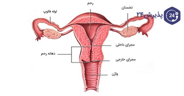  عکس بیکینی واقعی