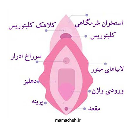  عکس بیکینی واقعی