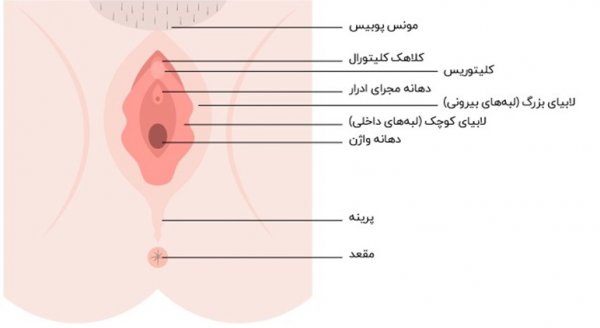  عکس بیکینی واقعی