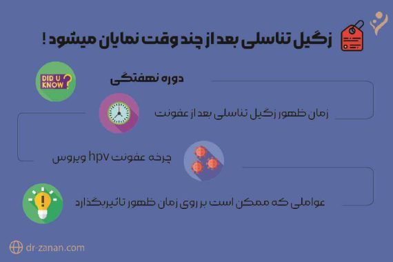  عکس واقعی واضح زگیل تناسلی در داخل واژن