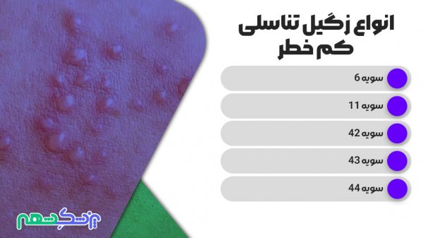  عکس واقعی واضح زگیل تناسلی در داخل واژن