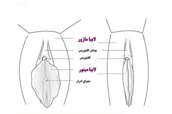  علت بزرگ شدن دستگاه تناسلی زنان