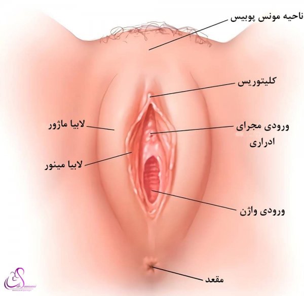  علت سياه شدن كليتوريس