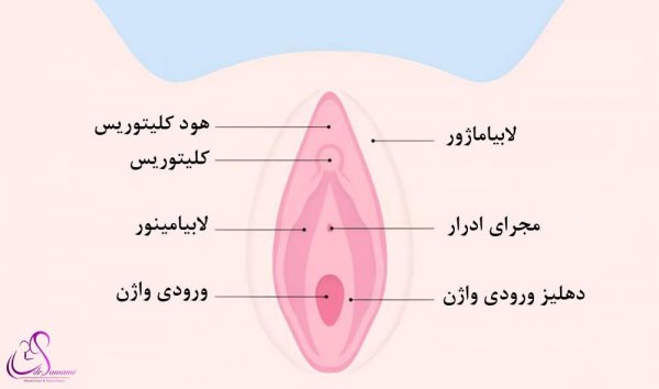  چگونه لبه های داخلی واژن را کوچک کنیم + درمان خانگی