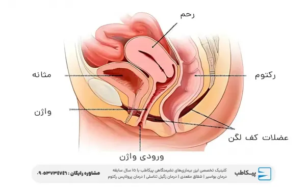  مچ پا چه ربطی به واژن دارد؟