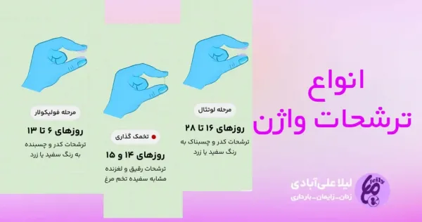  ترشح در دختران از چه سنی شروع میشود + عکس ترشح طبیعی واژن