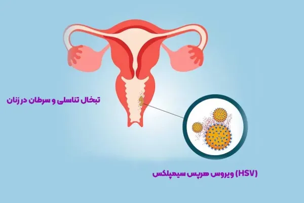  آیا تبخال مقعدی خطرناک است؟