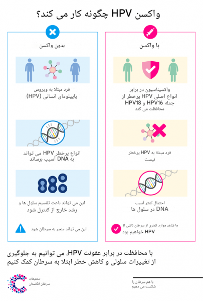  تایپ اچ پی وی یعنی چی + آزمایش HPV تایپینگ چیست؟