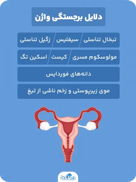  عکس توده سفت زیر پوست در ناحیه تناسلی زنان