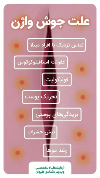  عکس جوش سفت و دردناک واژن + روش‌های درمان جوش واژن